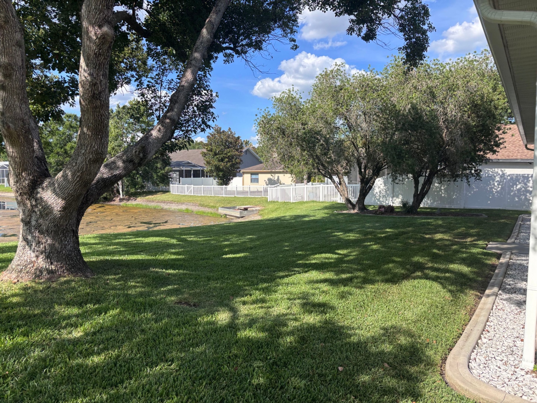 Overgrown back yard lawn freshly mowed and edged — after